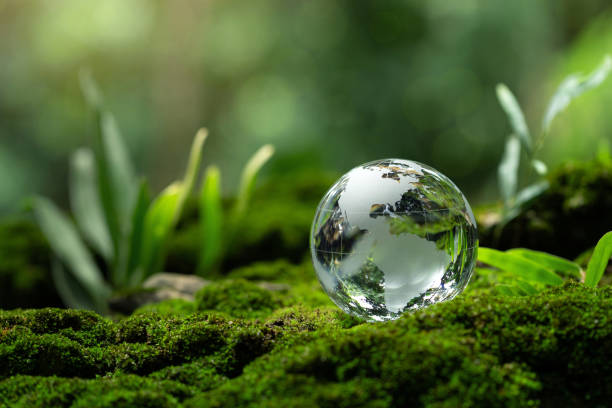 Environment: Preserving the Planet for Future Generations